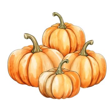 Pumpkin Watercolor Doodle Outline Premium Vector For Halloween And