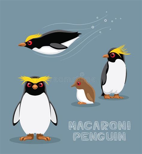 Ilustra O Do Vetor Dos Desenhos Animados Do Pinguim Do Macarr O