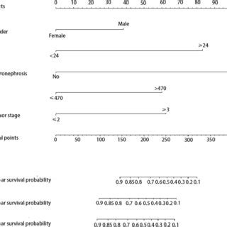 Nomograms For A 1 3 And 5 Year OS Prediction Of Patients With UTUC