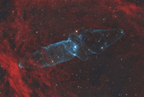 Ou4 La Nebulosa Del Calamar Gigante