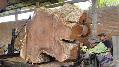 Wood Slabs Large Tree Roots Amazing Sawmill Profesional Youtube