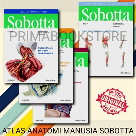 Jual Original Atlas Anatomi Manusia Sobotta Edisi Buku