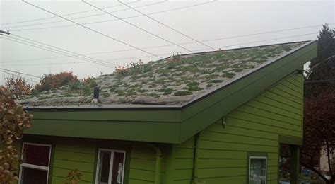 Williams District Ecoroof Portland Oregon Green Roof Ecoroof