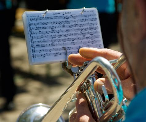 Free Images : hand, music, blue, musician, musical instrument, fingers ...