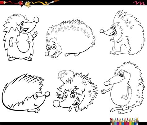 Coloriage De Personnages Animaux Drôles De Hérissons De Bande Dessinée