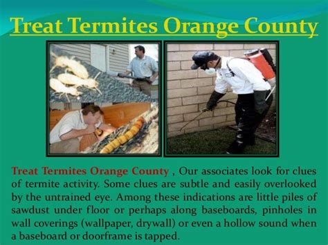 Termite Exterminator Orange County