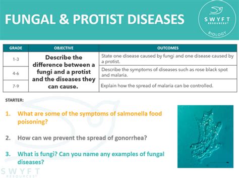 FUNGAL PROTIST DISEASES INFECTION RESPONSE Swyft Resources