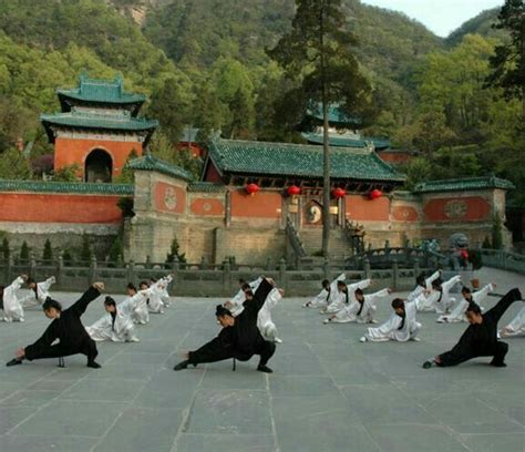 Pin By Ad Coffeng On Martial Arts And Kung Fu Tai Chi Tai Chi Qigong