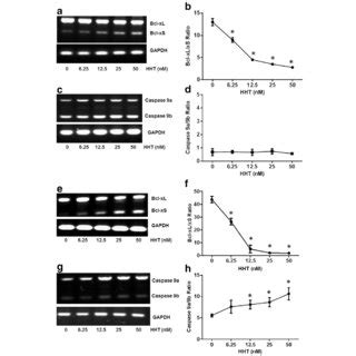 HHT Regulates Bcl X And Caspase 9 Splicing In A549 And UACC903 Cells