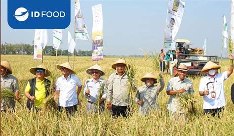 Upaya Dukung Pasokan Cbp Id Food Nfa Dan Brin Panen Bersama Di Dem