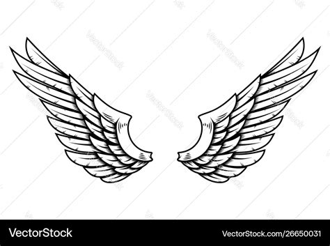 Simple Eagle Wings Drawing