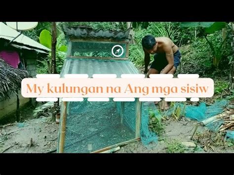 SIMPLING KULUNGAN NG INAHING MANOK AT MGA SISIW YouTube