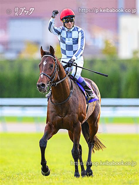 競馬ブックネットshop カラープリントアルミ枠付き2024年11月24日東京12r ジャパンc引き上げaドウデュース