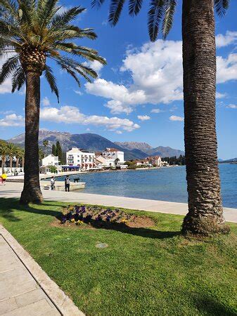 THE 10 BEST Restaurants in Tivat - Updated July 2022 - Tripadvisor