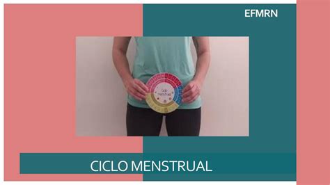 Ciclo Menstrual Lourdes Mamani UDocz