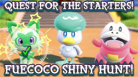 LIVE SHINY HUNTING FUECOCO 180 Eggs In MEMBERATHON HUNTING YouTube