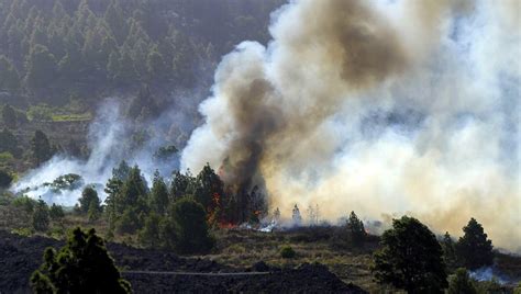 Controlan Incendio En El Paso Y Fuencaliente En La Isla De La Palma