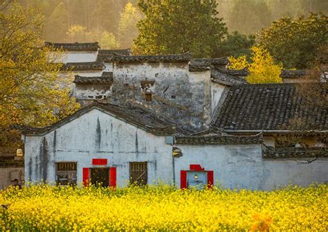 Days Huangshan Tour Yellow Mountain Hongcun Village Tour