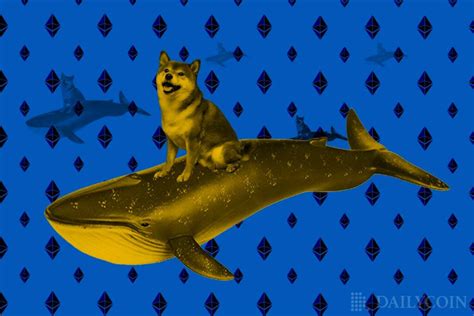 Shiba Inu Shib Becomes Crypto Among Ethereum Eth Whales Heres