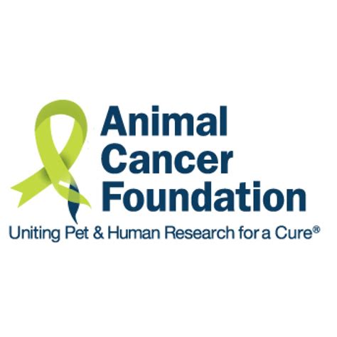 Animal Cancer Foundation Animals Us New York