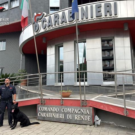 Rende I Carabinieri Arrestano Un Panettiere Nascondeva La Droga Nel