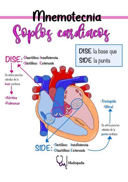 Mnemotecnia Soplos Cardiacos Medicipedia Udocz