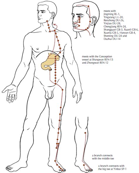 Basic Meridian Healing Online Course Artofit