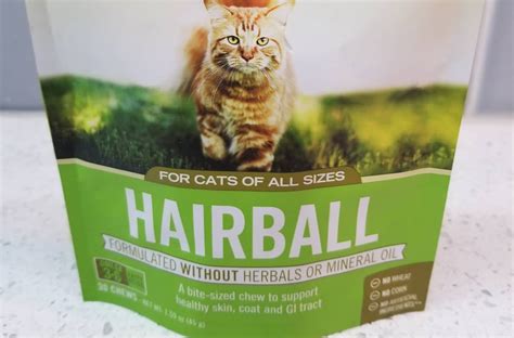 The Best Hairball Control Cat Food Dietary Hairball Prevention