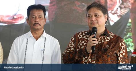 Resmikan Perusahaan Menko Airlangga Apresiasi Kerja Keras Bp Batam