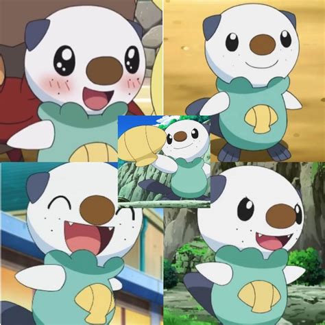 Oshawott Collage by Gametendo64 on DeviantArt