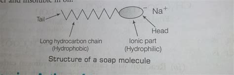 Describe the structure of soap molecule with the help of diagram ...