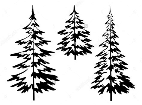 Simple Outline Pine Tree Silhouette