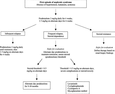 How To Cure Nephrotic Syndrome - Cousinyou14