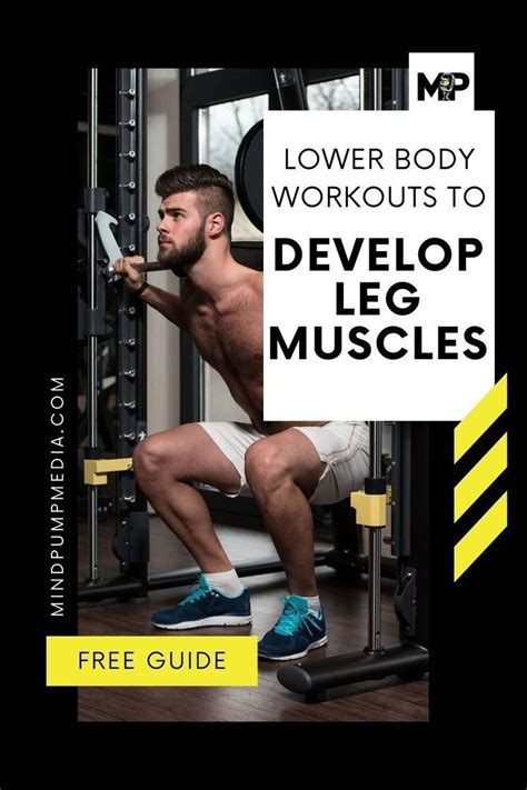 Develop Your Leg Muscles Strength And Size Artofit