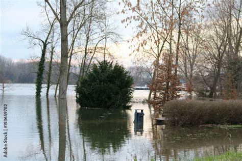 Hochwasser am Rhein Stock Photo | Adobe Stock