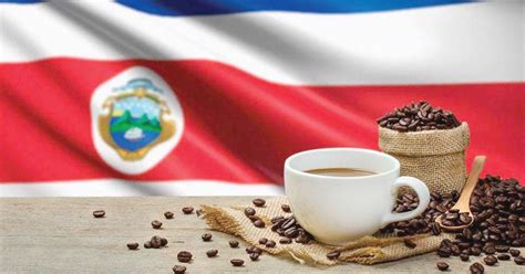 Café De Costa Rica Más De 200 Años De Calidad Y Tradición