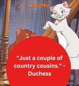 600+ Aristocats Quotes (2024) Top Feline Wisdom