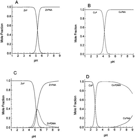 Computer Simulations Of The Ph Dependence Of The Zn And Cu Complexes Of