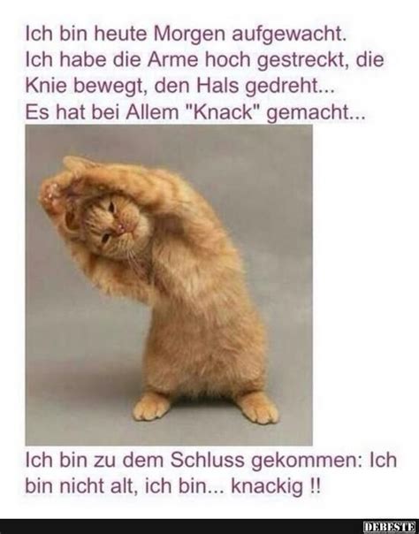 Ich Bin Heute Morgen Aufgewacht Lustig Katze Lustig Katzen