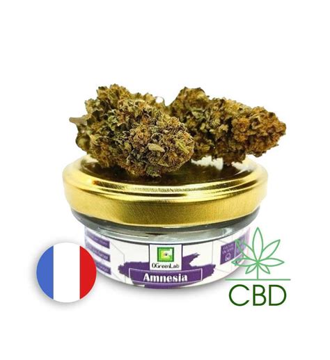 Amnesia GH OGreenLab 2 5g 5g 10g Fleurs Francaises Folium Boutique