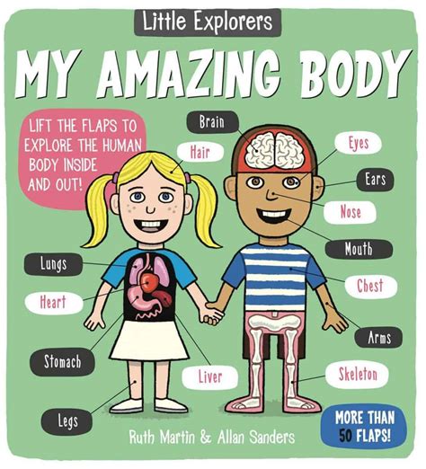 10 Fun Ways To Teach Kids Anatomy