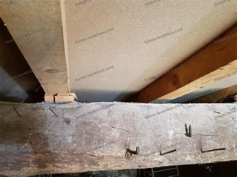 Travaux D Isolation Conseils Pour Isoler Un Plafond De Cave