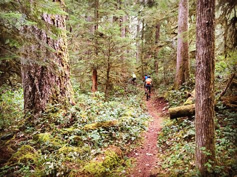 Trails of Oregon | dirtmagnet