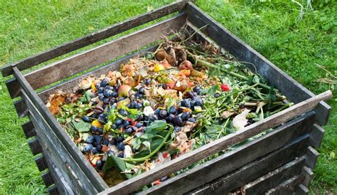 Cómo hacer compost casero Bekia Hogar