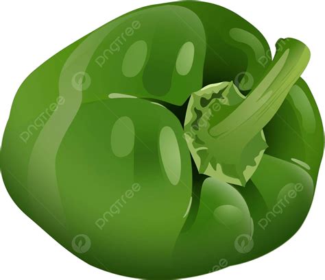 Pimiento Morr N Verde Ilustraci N Gr Fica Vector Png Dibujos Pimiento