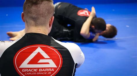 Discover How Brazilian Jiu Jitsu Stacks Up Against These Other 7