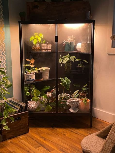 Indoor Plant Cabinet