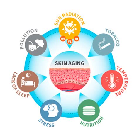 Effects Of The Sun On Visible Signs Of Aging Isdin