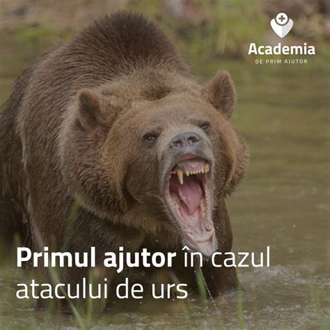 Ziua De Cluj Cum S Te Protejezi I S Acorzi Primul Ajutor N Caz De