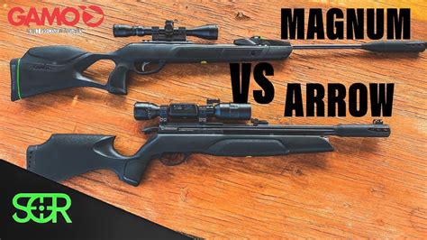 Gamo Arrow Vs Magnum Swarm 10x Gen3i Battle Of The 22 Gamo Airgun